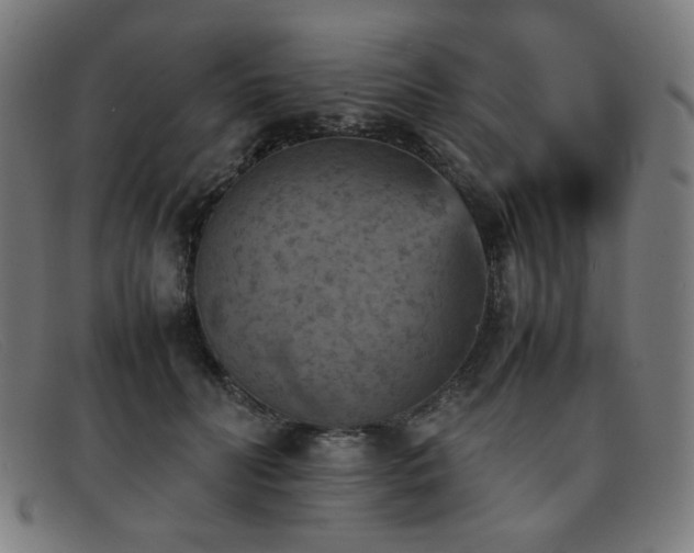 X0000092050606200709121214