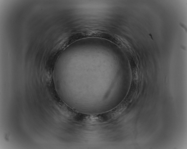 X0000092050607200709121214