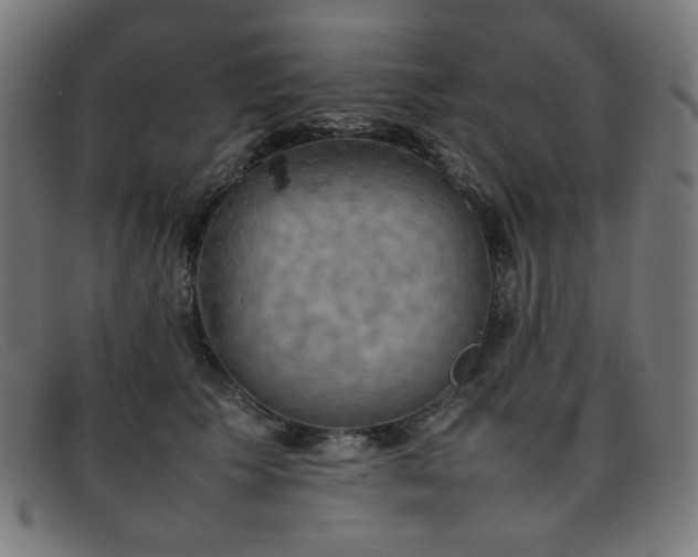 X0000092050609200709121214