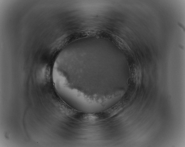 X0000092050610200709121214