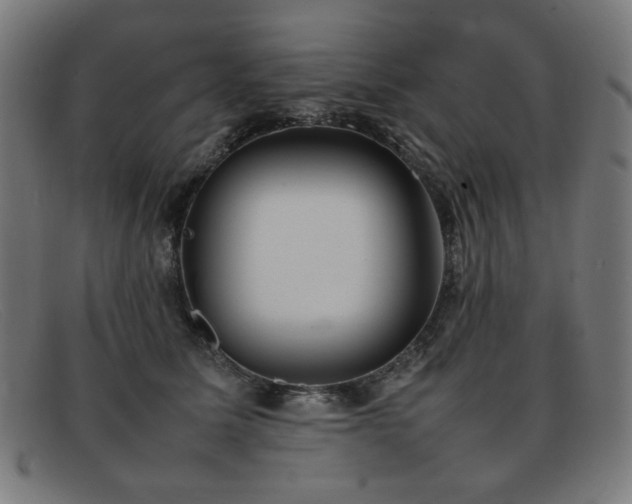 X0000092050611200709121214