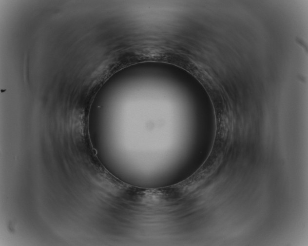 X0000092050612200709121214