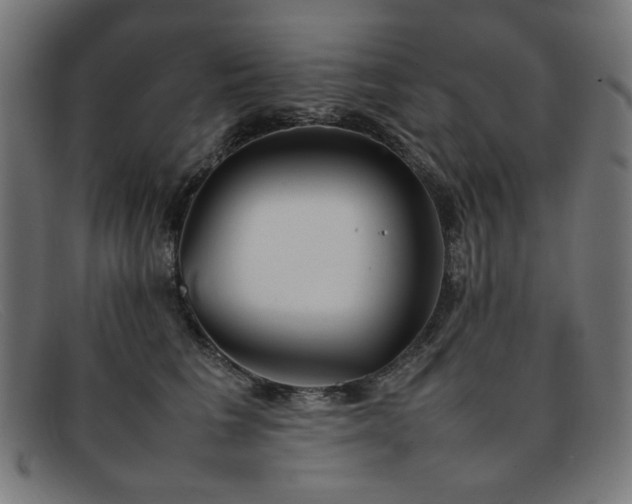 X0000092050613200709121214