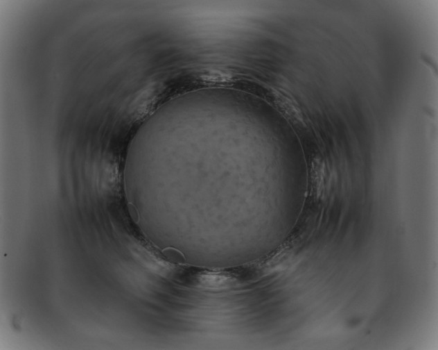 X0000092050614200709121214