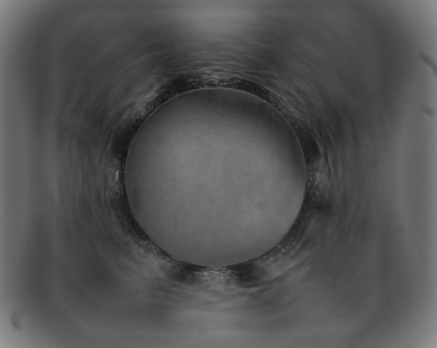 X0000092050615200709121214