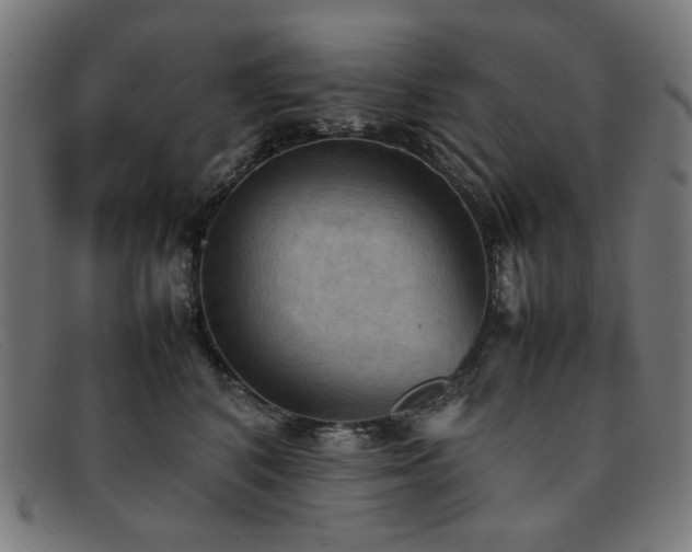 X0000092050616200709121214