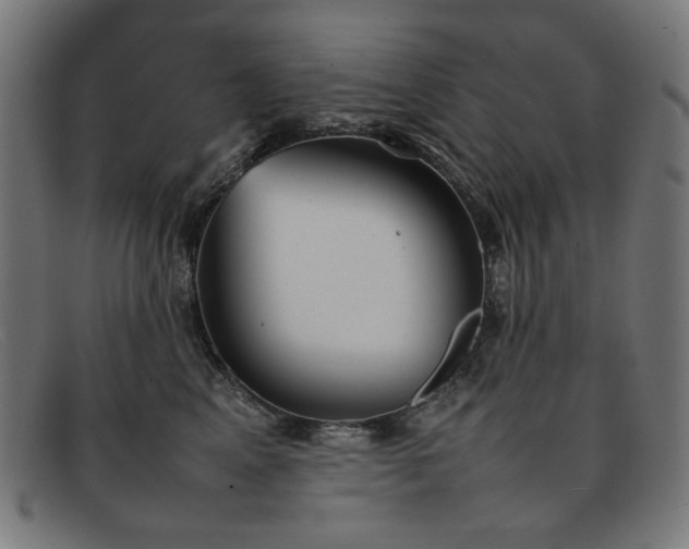 X0000092050617200709121214