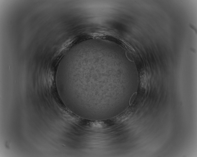 X0000092050618200709121214