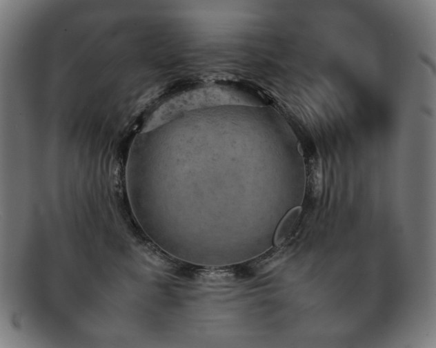 X0000092050619200709121214