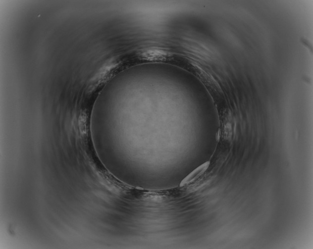 X0000092050620200709121214