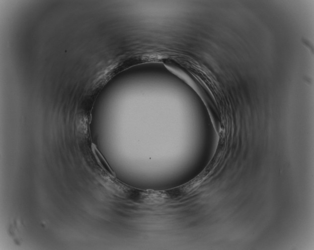 X0000092050621200709121214