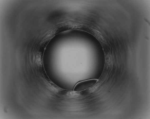 X0000092050622200709121214