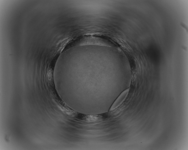 X0000092050623200709121214