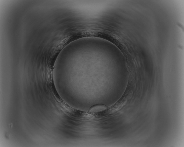 X0000092050624200709121214