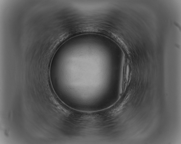 X0000092050625200709121213