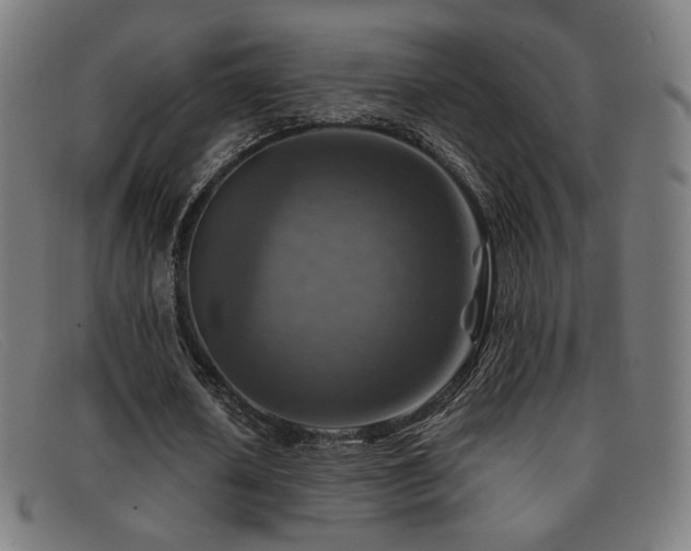 X0000092050626200709121213