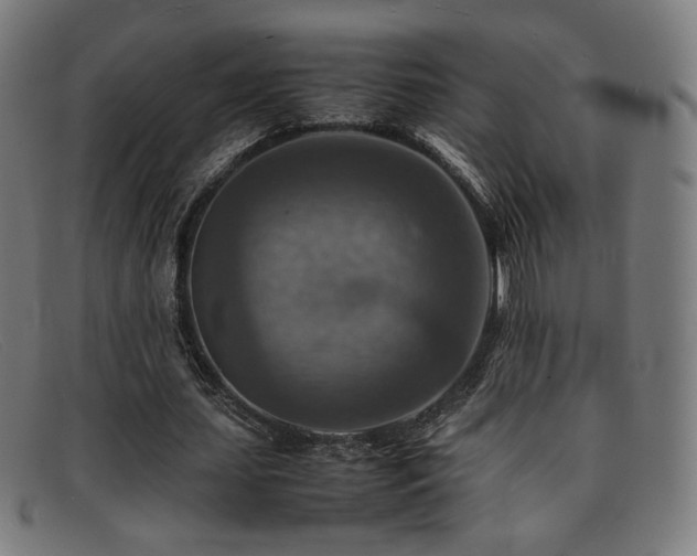 X0000092050627200709121213