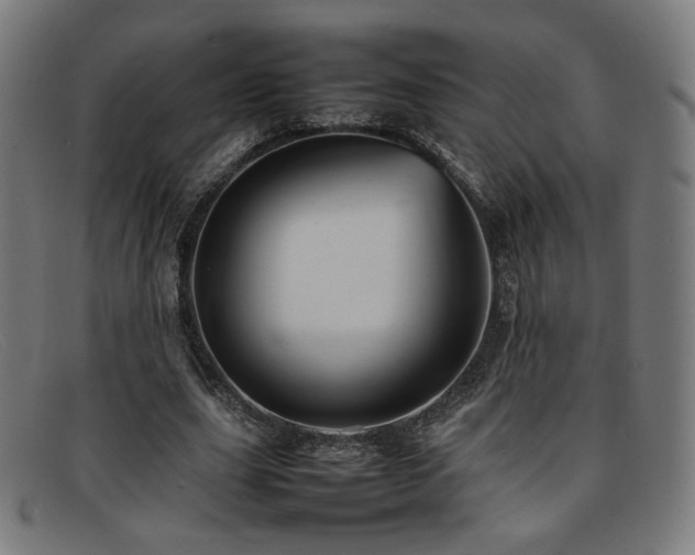 X0000092050631200709121213