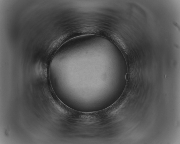 X0000092050633200709121213