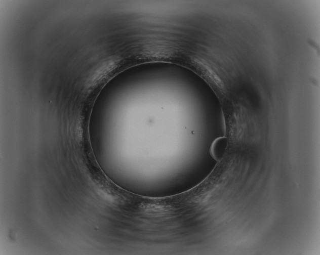 X0000092050635200709121213