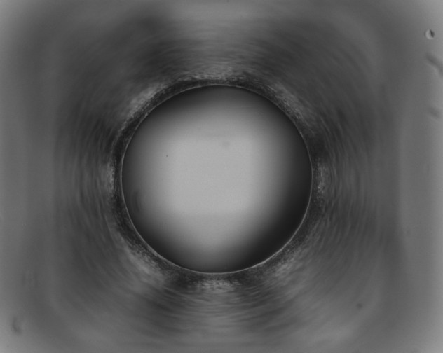 X0000092050636200709121213