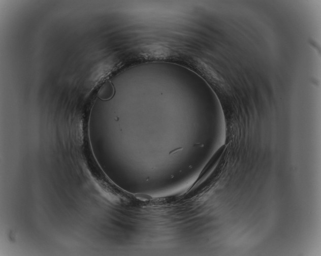 X0000092050638200709121213