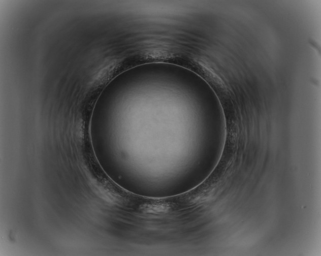 X0000092050639200709121213