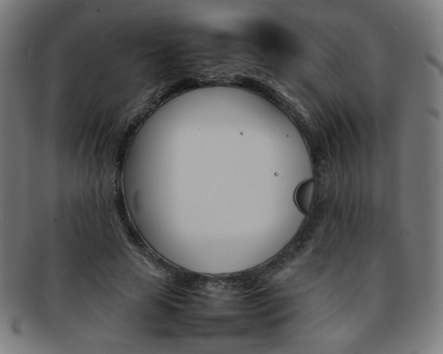 X0000092050641200709121213