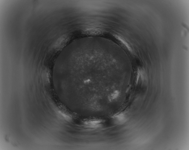 X0000092050643200709121213