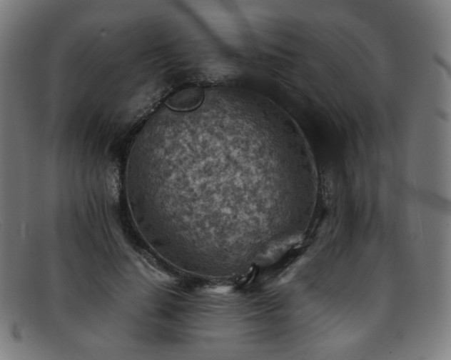 X0000092050644200709121213