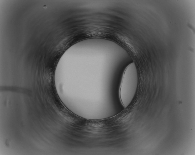 X0000092050645200709121213