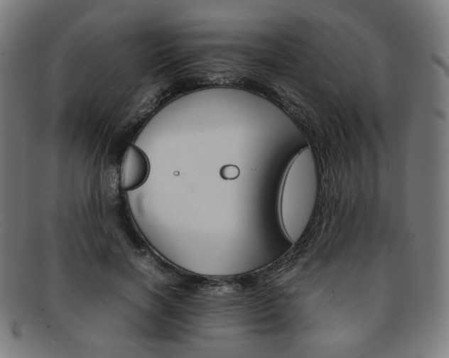 X0000092050646200709121213