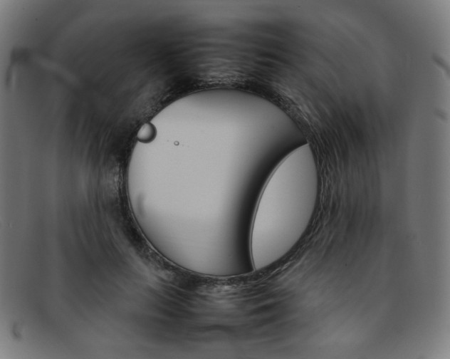 X0000092050647200709121213