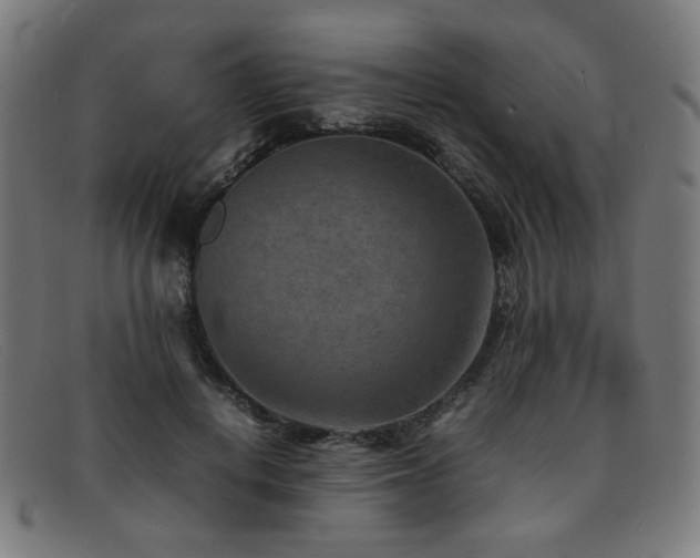 X0000092050648200709121213