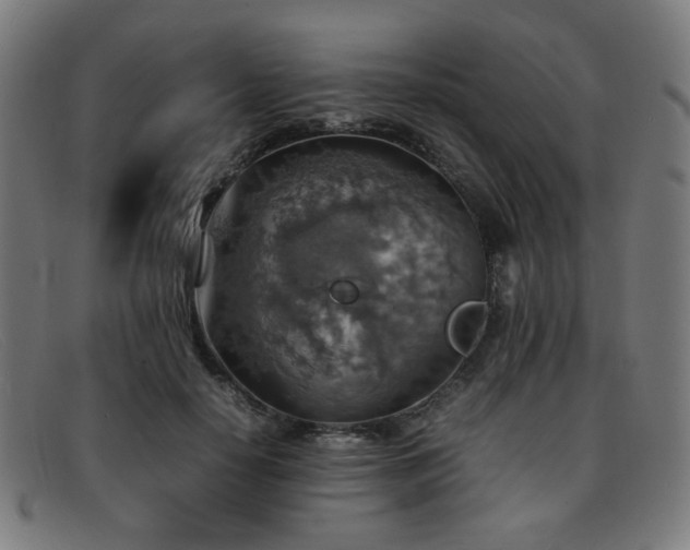 X0000092050650200709121213