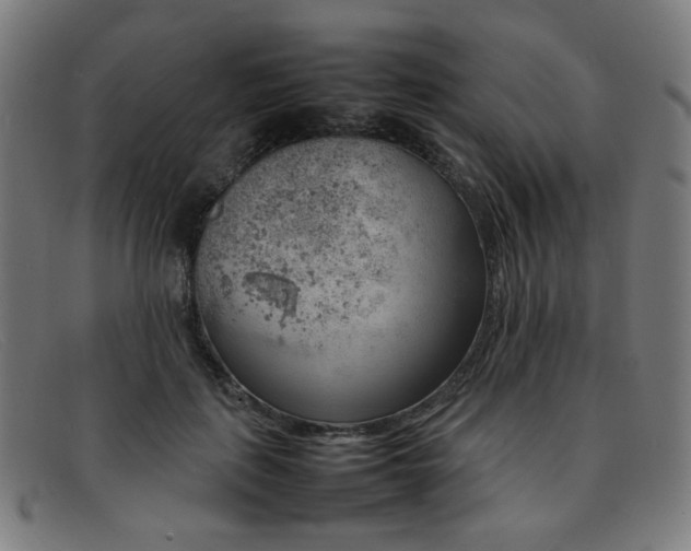 X0000092050651200709121213