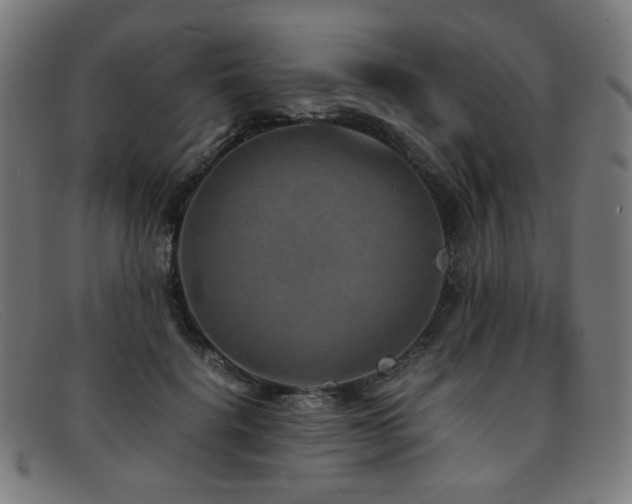 X0000092050652200709121213