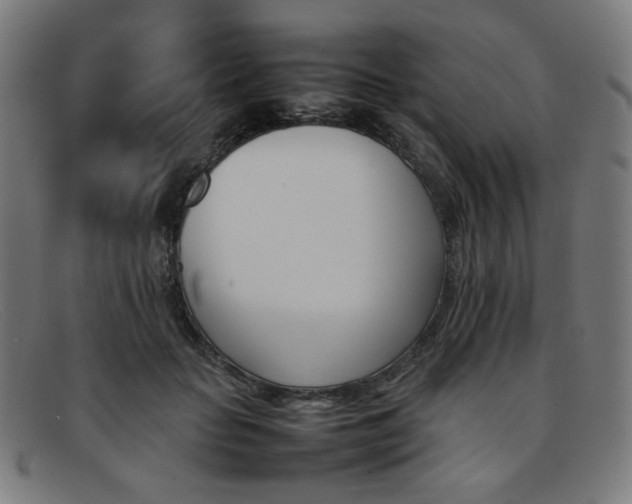 X0000092050653200709121213