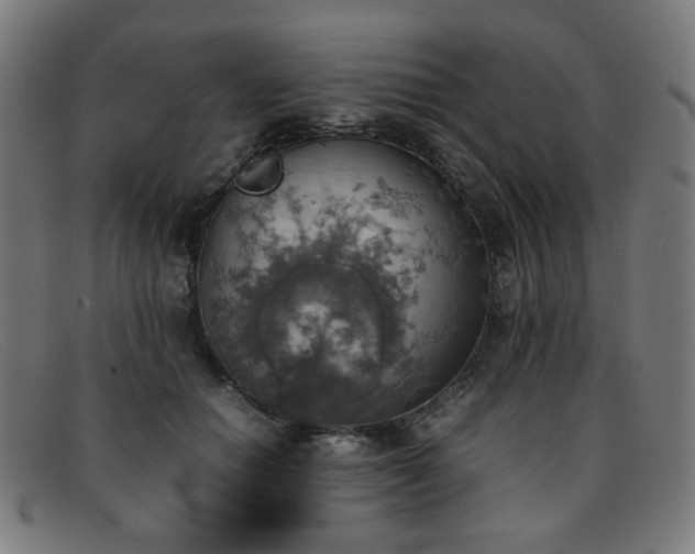 X0000092050654200709121213