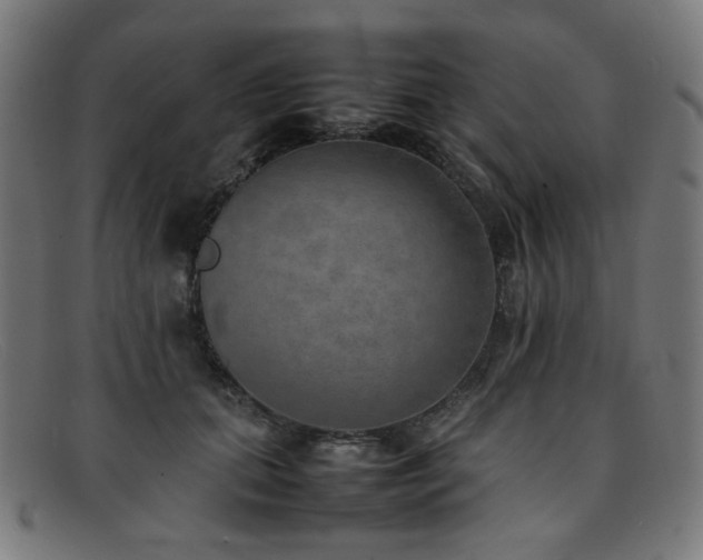 X0000092050655200709121213