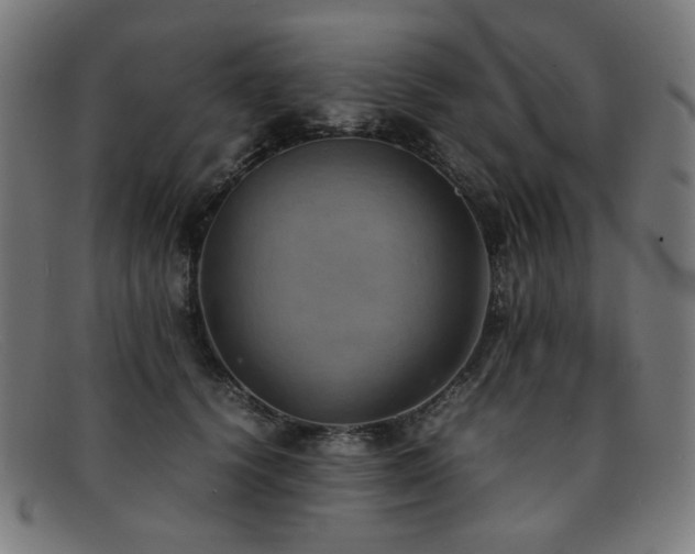 X0000092050656200709121213