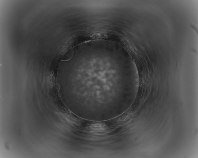 X0000092050659200709121213