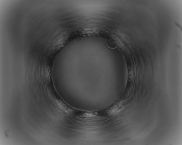 X0000092050662200709121213