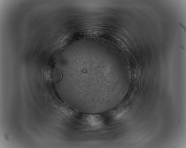 X0000092050663200709121213