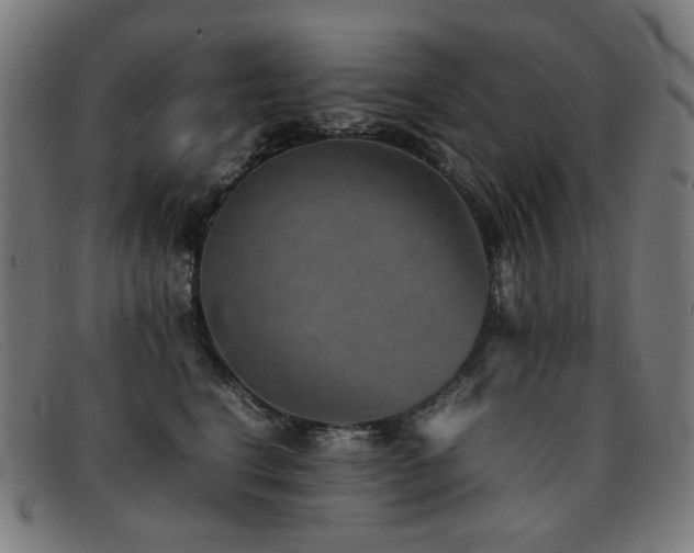 X0000092050664200709121213