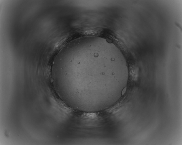 X0000092050665200709121213