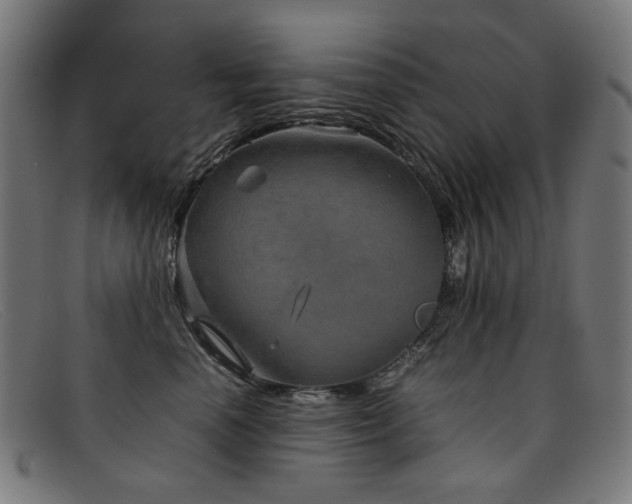 X0000092050666200709121213