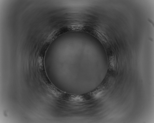 X0000092050667200709121213