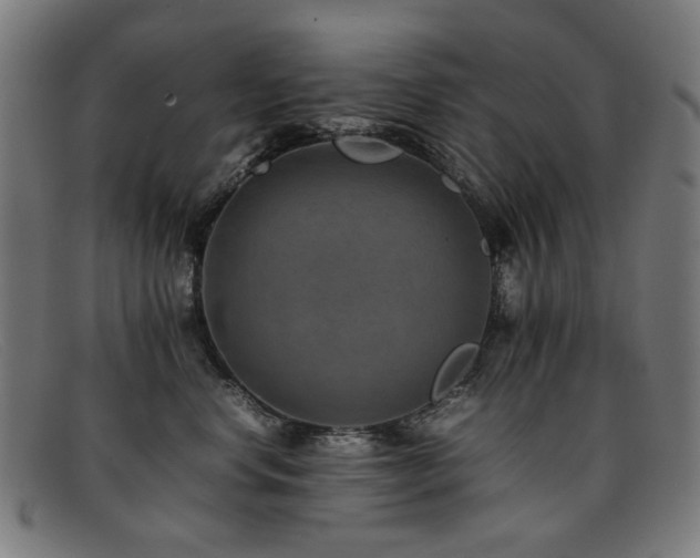 X0000092050668200709121214