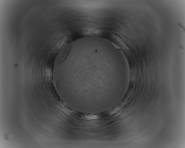 X0000092050669200709121214